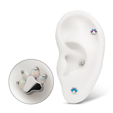 Invictus Titanium Threadless with Prong Set Opal 4-Cluster Paw Top